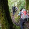 09 b Schluchensteig Etappe 4 - 6